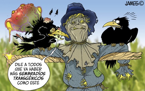 Cartoon: Efectos secundarios (medium) by JAMEScartoons tagged cuervo,plantio,espantapajaros,mutacion