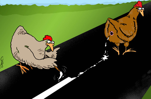 Cartoon: way to chickencoop (medium) by JARO tagged chicken,shit,way
