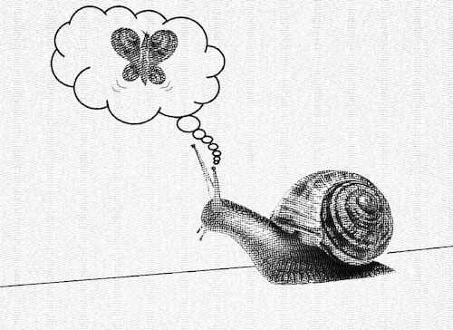 Cartoon: no title (medium) by chakhirov tagged snail
