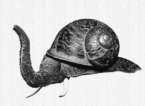 Cartoon: Snailephant (medium) by chakhirov tagged snail,elephant