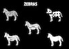 Cartoon: zebras (small) by chakhirov tagged zebra