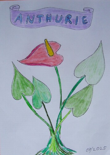 Cartoon: ANTHURIE Flamingoblume (medium) by skätschup tagged blumen,blüten,pflanzen,lebewesen,sehen,erkennen,freude,haben