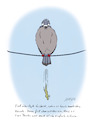 Cartoon: Notdurft (small) by SandraNabbefeld tagged taube,tauben,vögel,alltag,schräg,kacka,toilette,humor