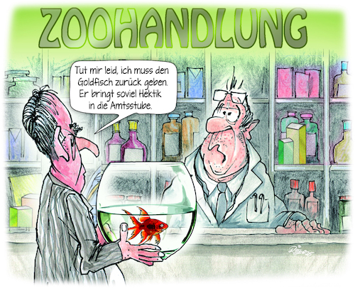 Goldfisch Goldfisch