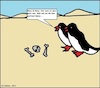 Cartoon: Glatt... (small) by Stiftewürger tagged glatt,glatteis,wüste,pinguine