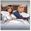 Cartoon: Scene from a marriage (small) by A Human tagged trump usa melania rapunzel marriage bergman film filmdrama donald confessions