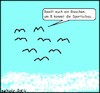 Cartoon: Beeilt euch... (small) by Fettsau1978 tagged beeilung,vögel,sportschau,eile,tiere,tv