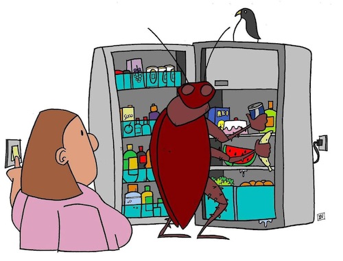 Cartoon: Night Visitor (medium) by Xisto Ventura tagged kitchen,surprise