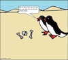 Cartoon: Glatt... (small) by Sachsenbirne tagged glatt,glätte,wüste,sand,kälte,frost,winter,eis,pinguine,klimaerwärmung,wetter