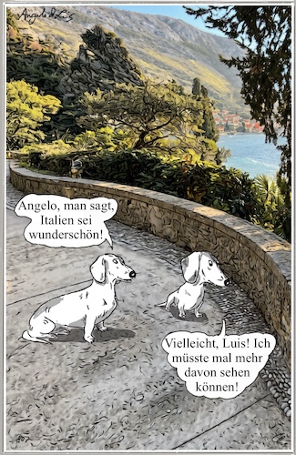 Cartoon: Zu klein (medium) by ChrisHolt tagged schönheit,dackelsicht