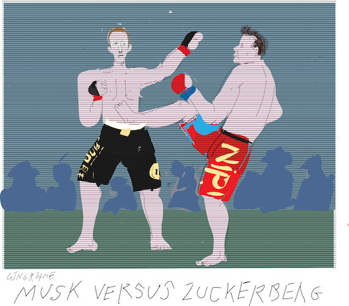 Cartoon: Cage fight (medium) by gungor tagged musk,versus,murk,musk,versus,murk