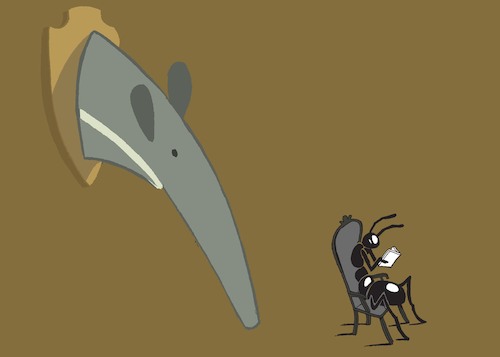 Cartoon: Anteater... (medium) by berk-olgun tagged anteater