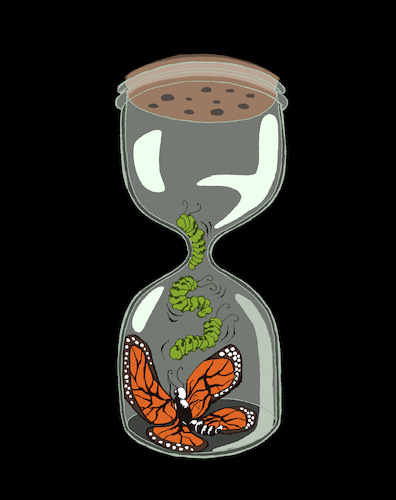 Cartoon: Butterfly Jar... (medium) by berk-olgun tagged butterfly,jar