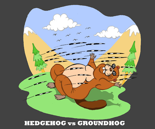 Cartoon: Hedgehog... (medium) by berk-olgun tagged hedgehog