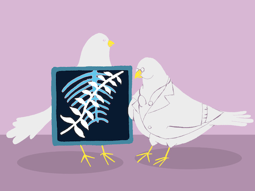 Cartoon: Olive Branch... (medium) by berk-olgun tagged olive,branch