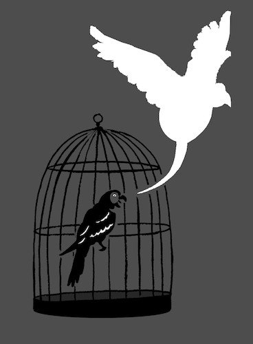 Cartoon: Parrot... (medium) by berk-olgun tagged parrot