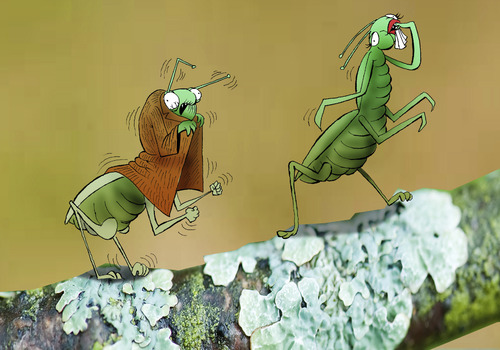 Cartoon: Praying Mantis... (medium) by berk-olgun tagged praying,mantis