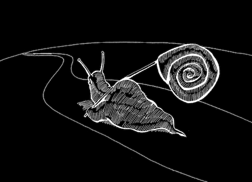 Cartoon: Snail... (medium) by berk-olgun tagged snail