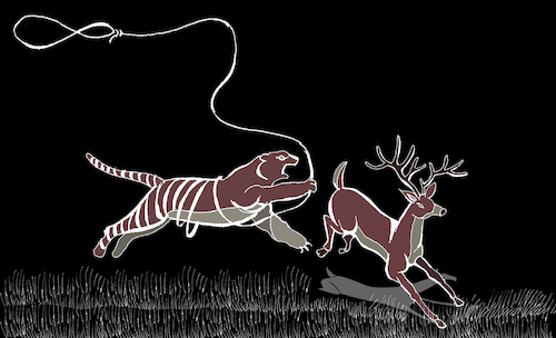 Cartoon: Tiger vs Deer... (medium) by berk-olgun tagged tiger,vs,deer