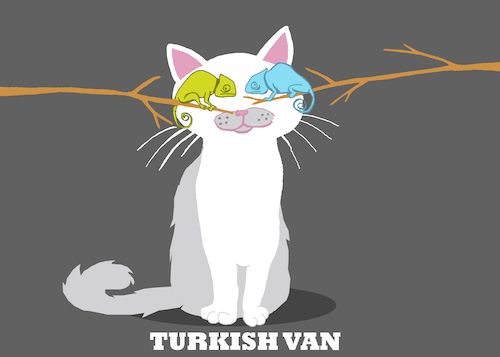 Cartoon: Turkish Van Cat... (medium) by berk-olgun tagged turkish,van,cat
