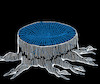 Cartoon: Black Hole... (small) by berk-olgun tagged black,hole