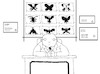 Cartoon: Rorschach... (small) by berk-olgun tagged butterfly