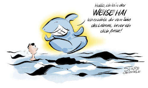Der weise Hai weiß alles! Der weise Hai weiß alles!
