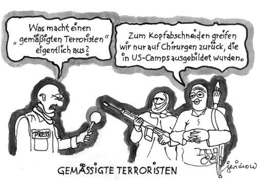 Gemäßigte Terroristen