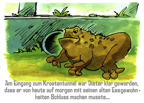 Cartoon: Am Krötentunnel (medium) by jenapaul tagged kröte,frosch,tiere,frösche,amphibien,humor