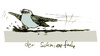 Cartoon: der schmierfink (small) by jenapaul tagged fink,humor,schmier,sprichwörter,vogel,tiere