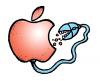Cartoon: iapple (small) by svitalsky tagged svitalsky,apple,mouse,pc,computer