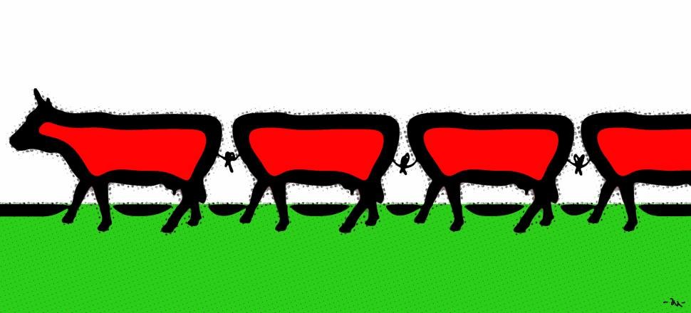 zu's banner