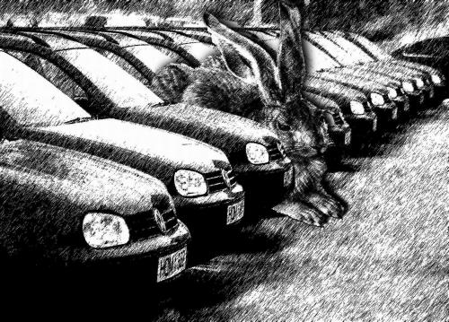 Cartoon: parking (medium) by zu tagged car,park,bun