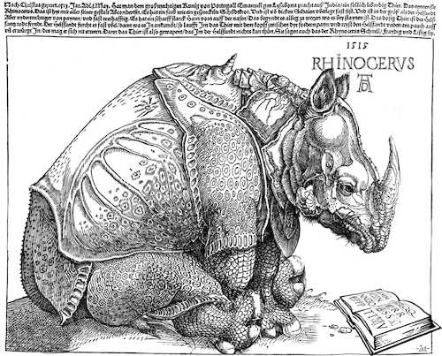 Cartoon: Rhynocerus (medium) by zu tagged rhyno,durer,book