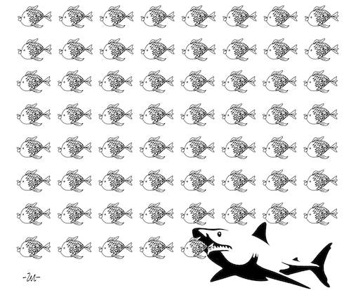 Cartoon: Shark (medium) by zu tagged shark,fish,eat