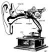 Cartoon: Gramophone (small) by zu tagged ear gramophone