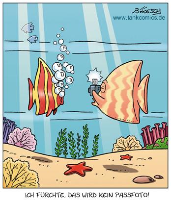 Cartoon: foto (medium) by pentrick tagged bökesch,gerd,flashlight,blitzlicht,sea,meer,animals,tiere,fish,fische,picture,foto,cartoon,tank,comics,tankcomics