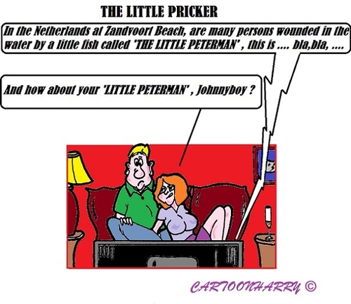 Cartoon: A Little Pricker (medium) by cartoonharry tagged fish,sand,holland,beach,pieterman