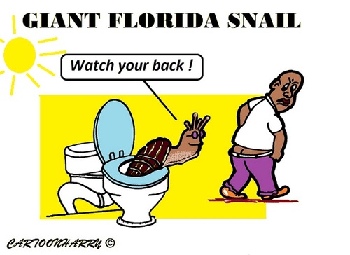 Cartoon: Giant Florida Snail (medium) by cartoonharry tagged usa,snail,florida,giant,sun,watchit,lookback,toilet,cartoons,cartoonists,cartoonharry,dutch,toonpool