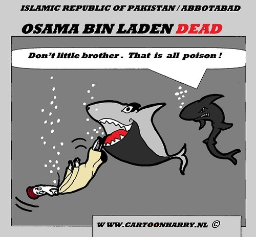 Cartoon: OSAMA BIN LADEN DEAD (medium) by cartoonharry tagged osama,binladen,pakistan,dead,dumped,sea,sharks,cartoon,artist,art,arts,drawing,cartoonist,cartoonharry,dutch,islam,muslim