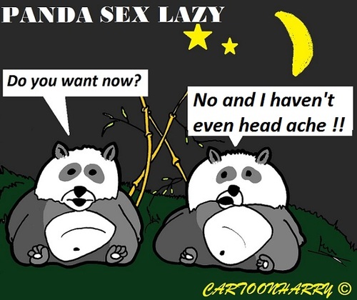 Cartoon: Panda (medium) by cartoonharry tagged lazy,panda,dieaway,cartoon,cartoonist,cartoonharry,dutch,toonpool