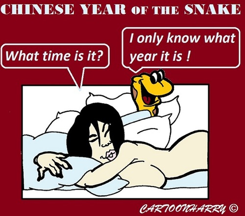 Cartoon: Snake of the Year (medium) by cartoonharry tagged snake,year,china,chinese,time,bed,sleepy,cartoons,cartoonists,cartoonharry,dutch,toonpool