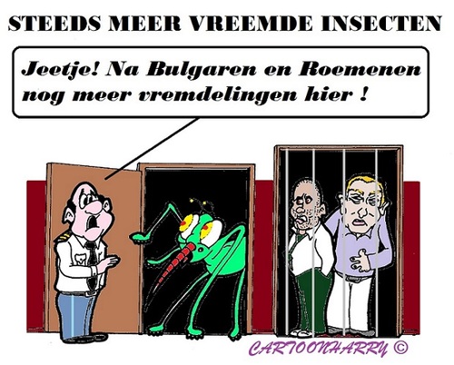 Cartoon: Vreemdelingen (medium) by cartoonharry tagged insecten,indringers,vreemdelingen,politie,bulgaren,roemenen,italianen