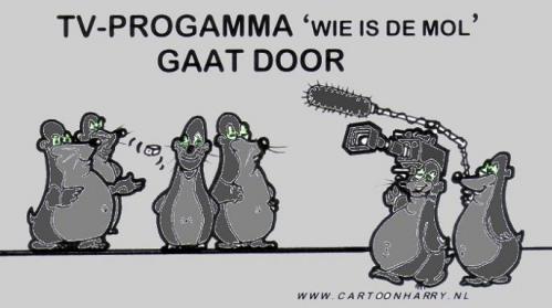 Cartoon: Wie is de mol? (medium) by cartoonharry tagged tv,mol,wie