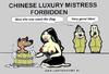 Cartoon: Luxury Mistress in China Forbidd (small) by cartoonharry tagged cartoonharry,china,mistress,luxus,dog,wash