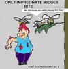 Cartoon: Midges-Bite (small) by cartoonharry tagged hormones,female,midge,bite,cartoonharry,impregnate