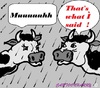 Cartoon: Muuuuuhhhhh (small) by cartoonharry tagged cow,cartoon,cartoonist,cartoonharry,toon,toons,toonpool,dutch