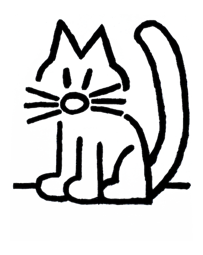 Crazy Cat Crazy Cat