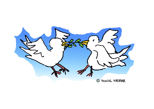 Cartoon: Peace Doves fighting for Peace (medium) by Pascal Kirchmair tagged friedenstauben,colombes,colomba,taube,doves,pace,paix,pax,friede,peace,for,fighting,kampf,hamas,plo,palästina,israel,nahost,war,conflict,palästinenser,ölzweig,symbole,symbol