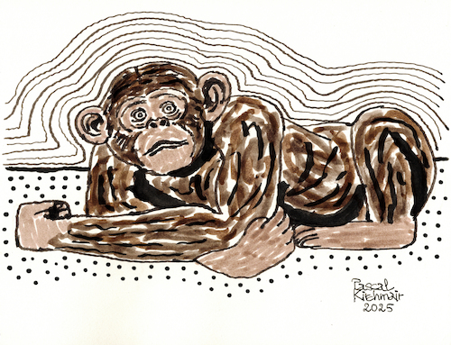 Cartoon: Liegender Schimpanse (medium) by Pascal Kirchmair tagged lazy,liegender,liegend,lying,fauler,chimpanzee,schimpanse,chimpanze,chimpance,scimpanze,affe,monkey,ape,primat,scultura,singe,machango,mono,scimmia,macao,sculpture,skulptur,illustration,ink,drawing,zeichnung,pascal,kirchmair,cartoon,caricature,karikatur,ilustracion,dibujo,desenho,ilustracao,illustrazione,illustratie,dessin,de,presse,tekening,teckning,cartum,vineta,comica,vignetta,caricatura,tusche,tuschezeichnung,portrait,retrato,porträt,ritratto,art,arte,kunst,artwork,encre,chine,tinta,china,inchiostro,nanquim,painting,pintura,peinture,dipinto,malerei,pittura,escultura,lazy,liegender,liegend,lying,fauler,chimpanzee,schimpanse,chimpanze,chimpance,scimpanze,affe,monkey,ape,primat,scultura,singe,machango,mono,scimmia,macao,sculpture,skulptur,illustration,ink,drawing,zeichnung,pascal,kirchmair,cartoon,caricature,karikatur,ilustracion,dibujo,desenho,ilustracao,illustrazione,illustratie,dessin,de,presse,tekening,teckning,cartum,vineta,comica,vignetta,caricatura,tusche,tuschezeichnung,portrait,retrato,porträt,ritratto,art,arte,kunst,artwork,encre,chine,tinta,china,inchiostro,nanquim,painting,pintura,peinture,dipinto,malerei,pittura,escultura